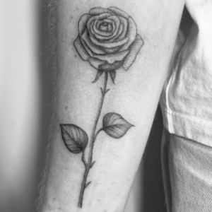 Rose réaliste carré