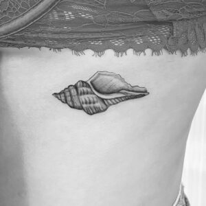 Tattoo coquillage réaliste côte